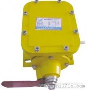 JHSL-A、JHSL-B縱向撕裂保護(hù)開關(guān)廠家直銷