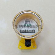 廠家批發(fā)打滑欠速開關(guān)YHDH-Z欠速檢測裝置